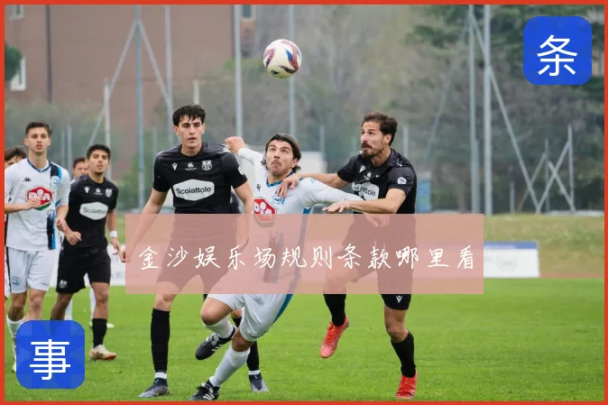 金沙娱乐场规则条款哪里看
